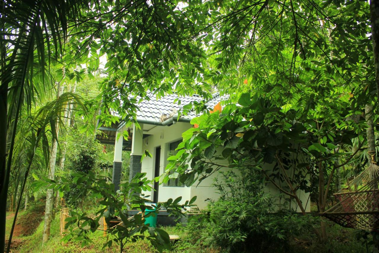 Vintage Garden Resort Sultan Bathery Dış mekan fotoğraf